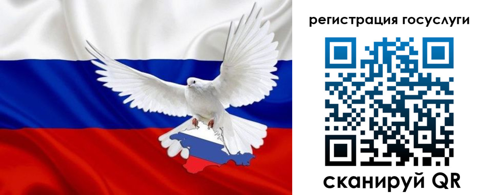 прописка законно в Рошале